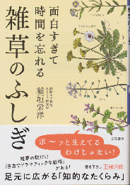 面白すぎて時間を忘れる雑草のふしぎ