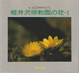 軽井沢植物園の花－Ⅰ