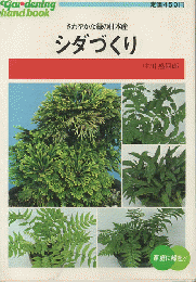 シダづくり : さわやかな緑の日本産
