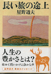 長い旅の途上