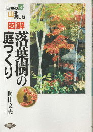 図解落葉樹の庭つくり : 四季の野山を楽しむ