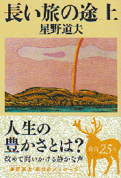 長い旅の途上
