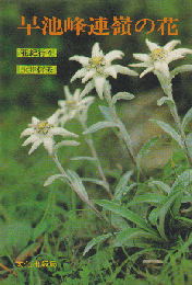 早池峰連嶺の花  花紀行 4