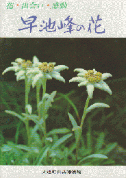 早池峰の花