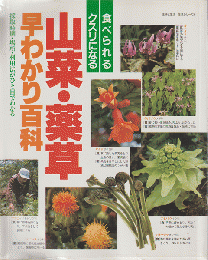 山菜・薬草早わかり百科 : 食べられる・クスリになる : 採取時期・場所・利用法がひと目でわかる