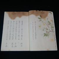 俳句集　晨明草