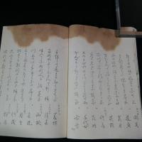 俳句集　晨明草