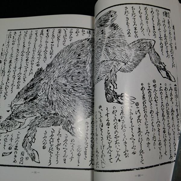 初代葛飾北斎の名著 繪本彩色通（全）(春原高英) / 古本、中古本、古