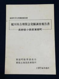 蛇川原古墳緊急発掘調査報告書