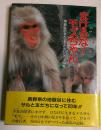 まけるな!モズちゃん : 地獄谷のサルと友だちになって20年