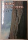 大岩壁のプロフェッショナル