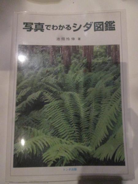 写真でわかるシダ図鑑(池畑怜伸) / 古本、中古本、古書籍の通販