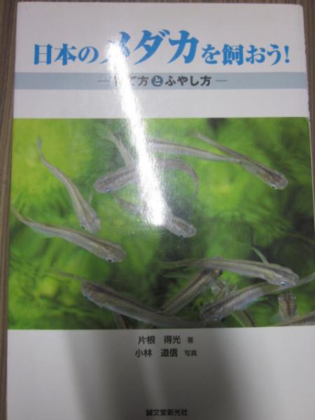 ラッピング無料】 美品即納 日本のメダカを飼おう―育て方とふやし方 日本産メダカ飼育 繁殖ガイド 品種 選び方 用具 管理 水質 餌 繁殖  病気予防治療s