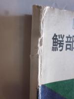 鰐部隊とパプア人マンドル　冒険と戦闘と人間愛の記録