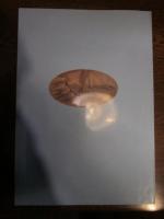 海はむすぶ 人とモノの交流史　1998　徳島県立博物館