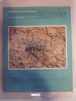 あるくみるきく　1974年3月号　№８５　特集：身近な自然　小石川の四季