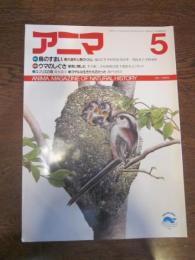 アニマ　№175　1987年5月号　特集Ⅰ：鳥のすまい　特集Ⅱ：ウマのしぐさ