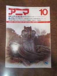 アニマ　№166　1986年10月号　特集Ⅰ：ドングリころころ　特集Ⅱ：イワシ