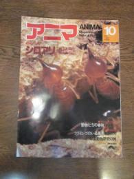 アニマ　№91　1980年10月号　特集：シロアリ　地下王国の住人たち　