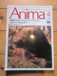 月刊誌 アニマ　№223　1991年4月号　特集：動物プロフェッショナル　カムチャツカのヒグマ