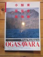 月刊誌 アニマ　№222　1991年3月号　特集：最新クジラ学　アフリカ南部探鳥紀行　チンパンジーの世界