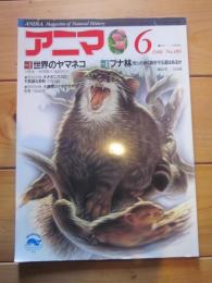 月刊誌 アニマ　№189　1988年6月号　特集：世界のヤマネコ　　ブナ林