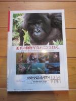 月刊誌 アニマ　№188　1988年５月号　特集：鳥の子育て　キャット・ウォッチング・上級編