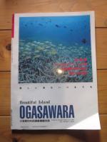 月刊誌 アニマ　№２２７　１９９１年８月号　特集：サンゴ礁の動物誌　小笠原自然ウォッチング