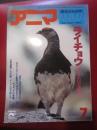 月刊誌 アニマ　№40　昭和51年7月号　特集：ライチョウ　衣がえの不思議