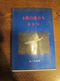 土佐の魚たち