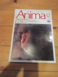 月刊誌 アニマ　№２３１　1991年12月号　特集　サル　パタゴニア自然紀行　カムチャツカのオオワシ　キタガミトビケラ　キノコとモグラ