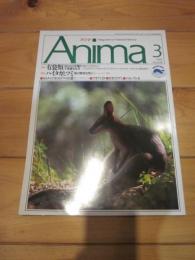 月刊誌 アニマ　№２４６　１９９３年３月号　特集：　有袋類　ハイタカとツミ