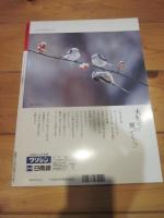 月刊誌 アニマ　№２４６　１９９３年３月号　特集：　有袋類　ハイタカとツミ