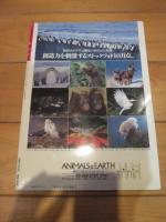 月刊誌 アニマ　№１９３　１９８８年１０月号　特集：ツキノワグマ　　海のガラパゴス　六甲の野生イノシシ　南米のアリ植物　
