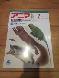 月刊誌 アニマ　№２０８　１９９０年１月号　特集：帰化動物　そのたくましき生態　　特集Ⅱ：ペンギン・ウォッチング　