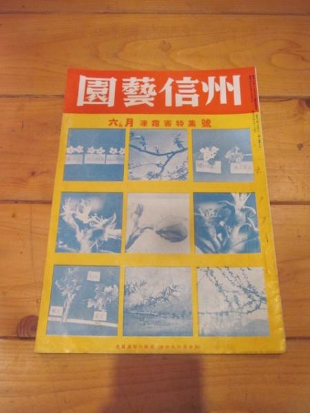 復元 信濃國繪圖 信濃国絵図 第一巻 小県郡篇 信濃国絵図 / 古本