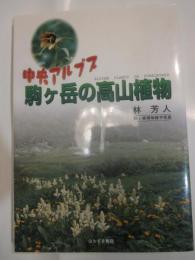 中央アルプス駒ヶ岳の高山植物