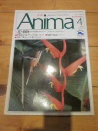 月刊誌 アニマ　№２１１　１９９０年４月号　創刊17周年記念号　特集：花と動物　その不思議なきずな　世界最大の花ラフレシアと虫　花食の文化誌