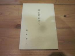 塔を見あげて　長野叢書第17集