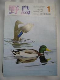 野鳥　1981年1月号から1984年1月号（1冊欠）の36冊