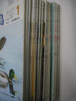 野鳥　1981年1月号から1984年1月号（1冊欠）の36冊