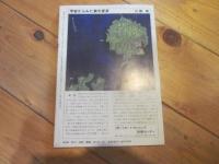 月刊　地理 　1986年 10月号　特集：　食の文化　いま・むかし