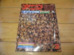 月刊誌 アニマ　№60　1978年3月号　特集：蜜蜂の神話　働くのは働き蜂か