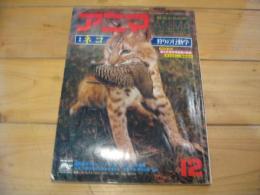月刊誌 アニマ　№57　1977年12月号　特集： ネコ　狩りの行動学