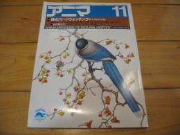 月刊誌 アニマ　№141　1984年11月号　特集：庭のバードウォッチング　庭で見る冬の鳥