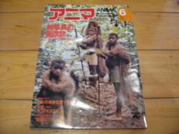月刊誌 アニマ　№87　1980年6月号　特集： 狩猟民の自然誌　ピグミーとブッシュマン