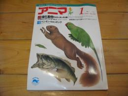 月刊誌 アニマ　№203　1990年1月号　特集：帰化動物そのたくましき生態　特集②ペンギン・ウォッチング