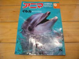 月刊誌 アニマ　№90　1980年9月号　特集：イルカ知られざる生活