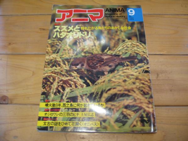 台風の島に生きる 1982年 古書