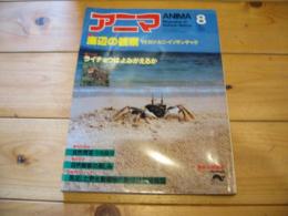 月刊誌 アニマ　№114　1982年8月号　夏休み特別号　特集：海辺の観察　ヤドカリ・カニ・イソギンチャク